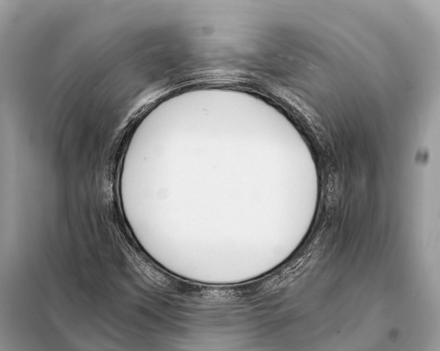 X0000098101451200805021058