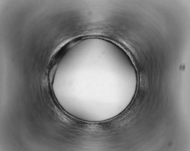 X0000098101452200805021058