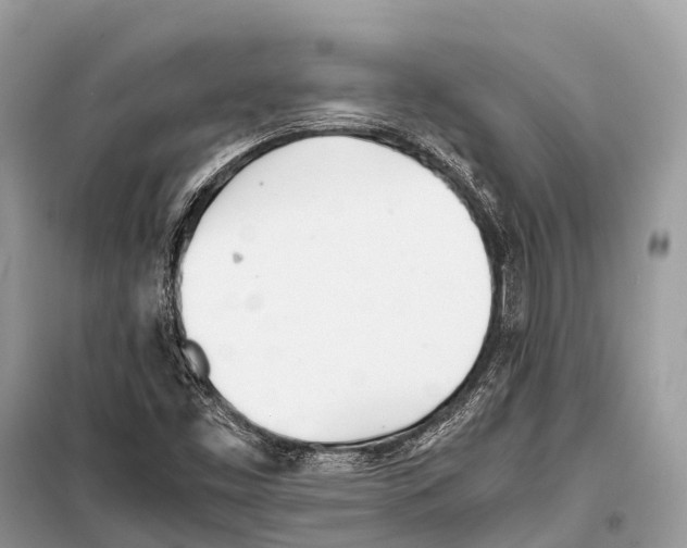 X0000098101453200805021058