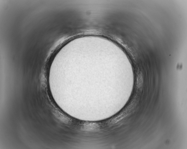 X0000098101454200805021058