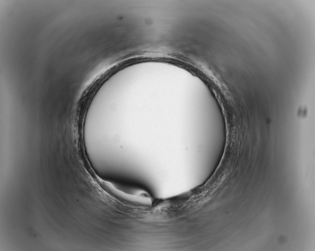 X0000098101456200805021058