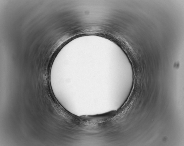X0000098101457200805021058