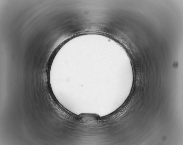 X0000098101458200805021058