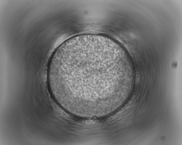 X0000098101459200805021058