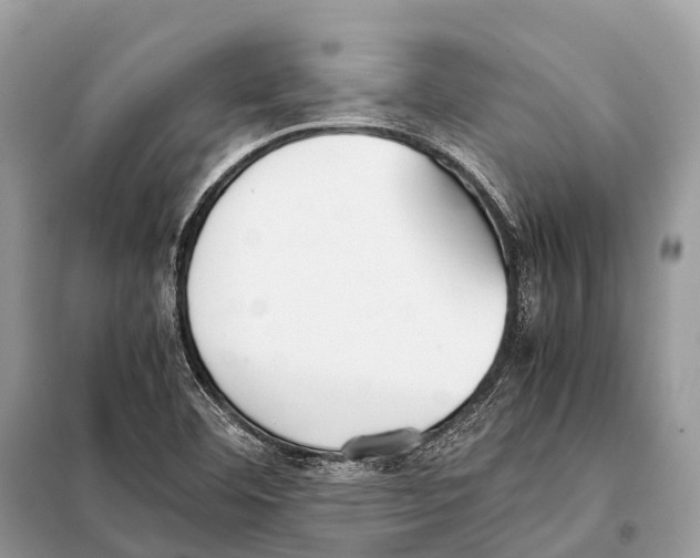 X0000098101460200805021058