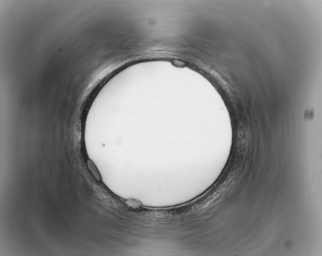 X0000098101461200805021058