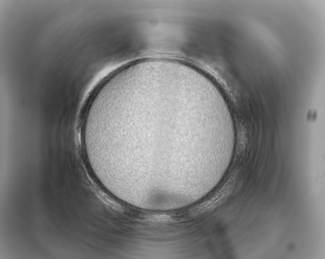 X0000098101462200805021058