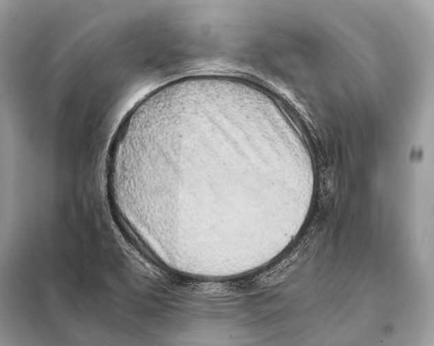 X0000098101463200805021058
