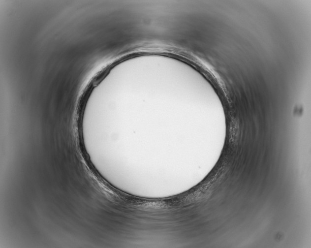 X0000098101464200805021058