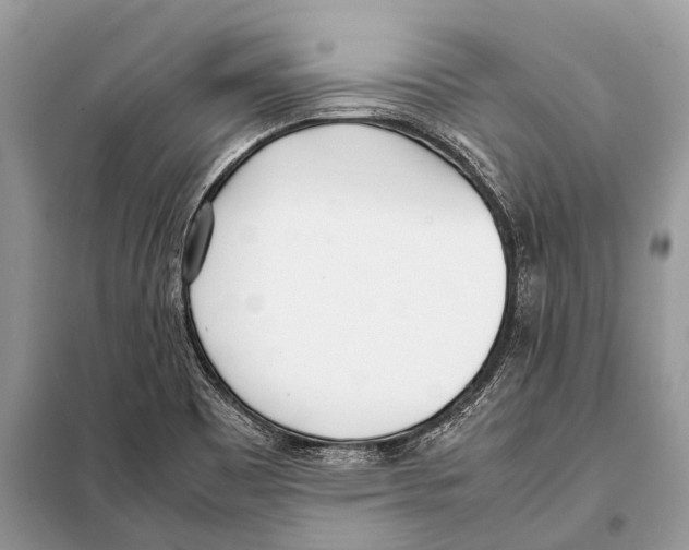 X0000098101465200805021058