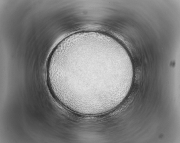 X0000098101467200805021058