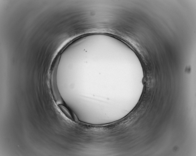 X0000098101468200805021058