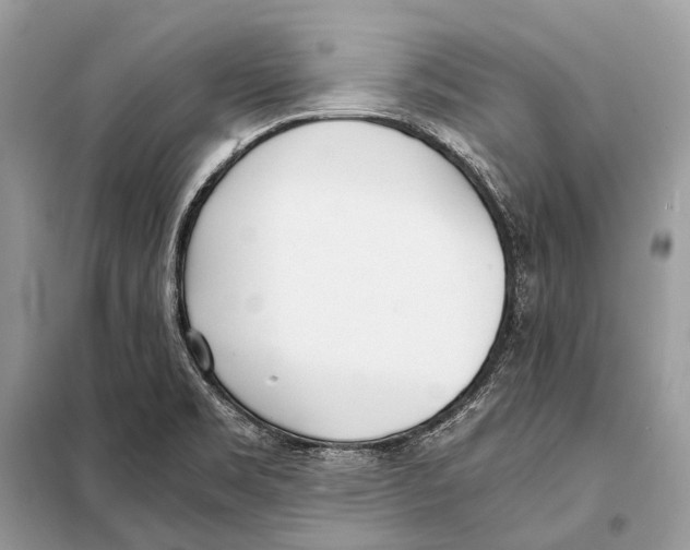 X0000098101469200805021058