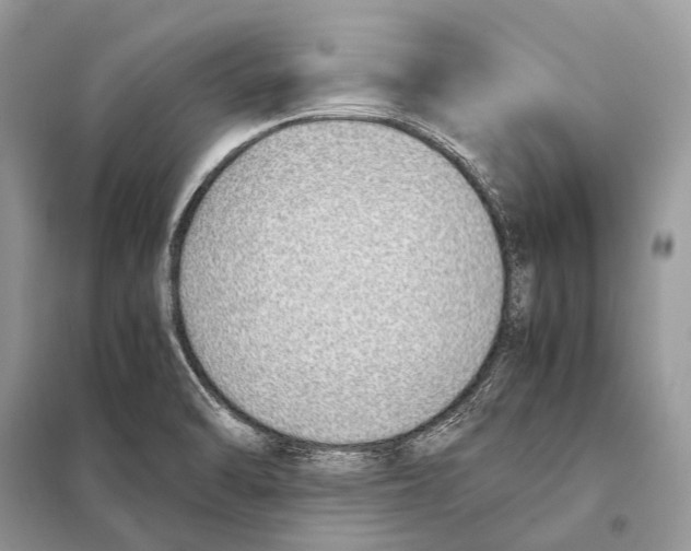 X0000098101470200805021058