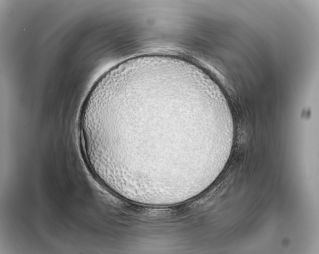 X0000098101471200805021058