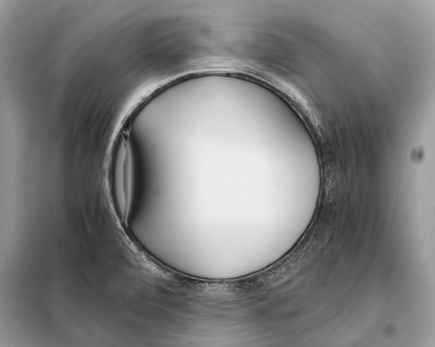X0000098101472200805021058