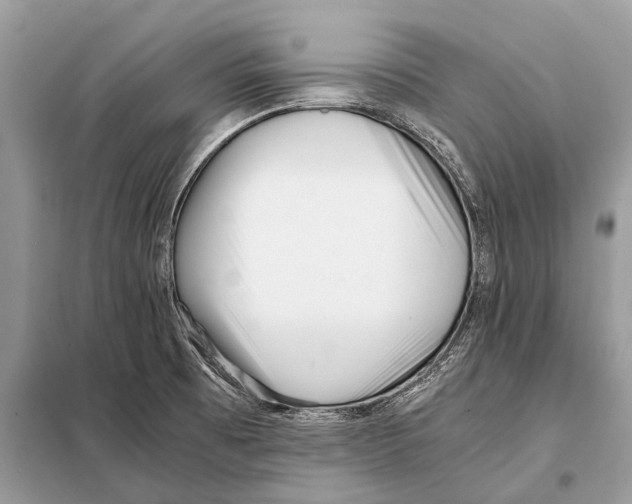 X0000098101473200805021058