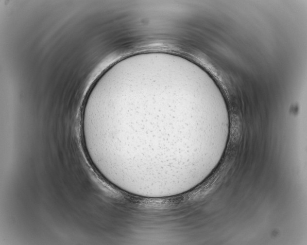 X0000098101474200805021058