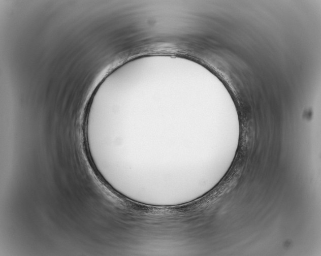 X0000098101475200805021058