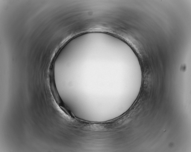 X0000098101476200805021058