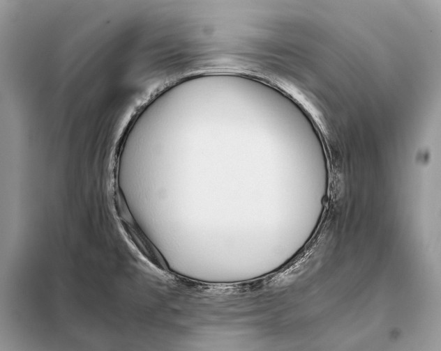 X0000098101477200805021058