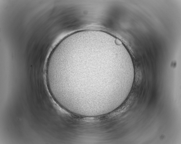 X0000098101478200805021058