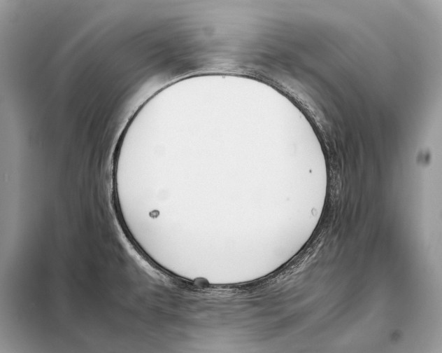 X0000098101479200805021058