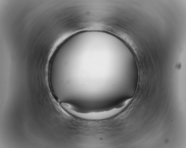 X0000098101480200805021058