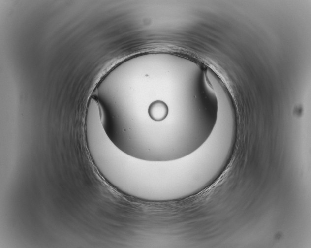 X0000098101481200805021058