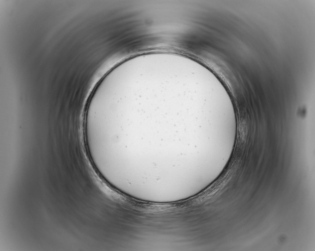 X0000098101482200805021058