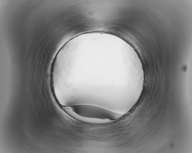 X0000098101483200805021058
