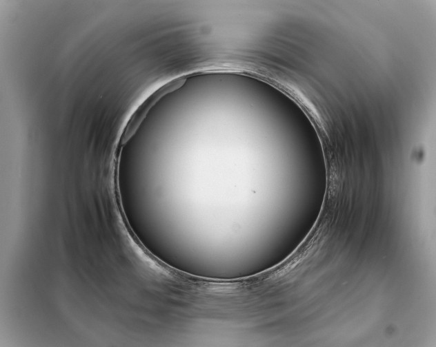 X0000098101484200805021058