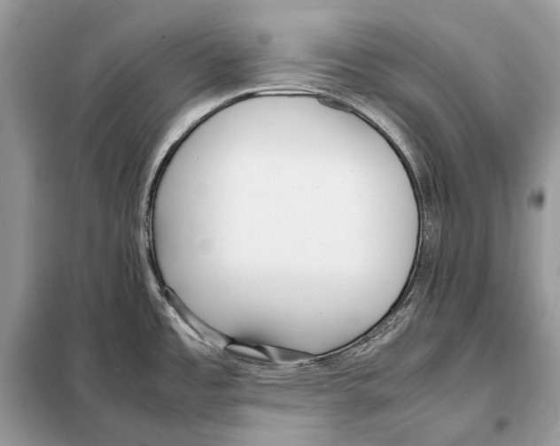 X0000098101485200805021058