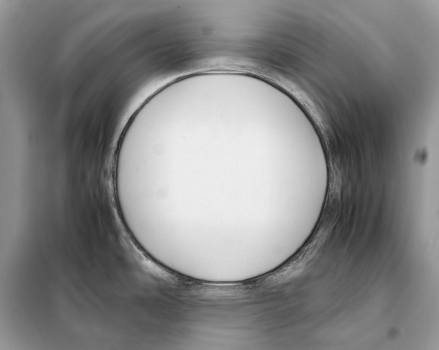 X0000098101486200805021058