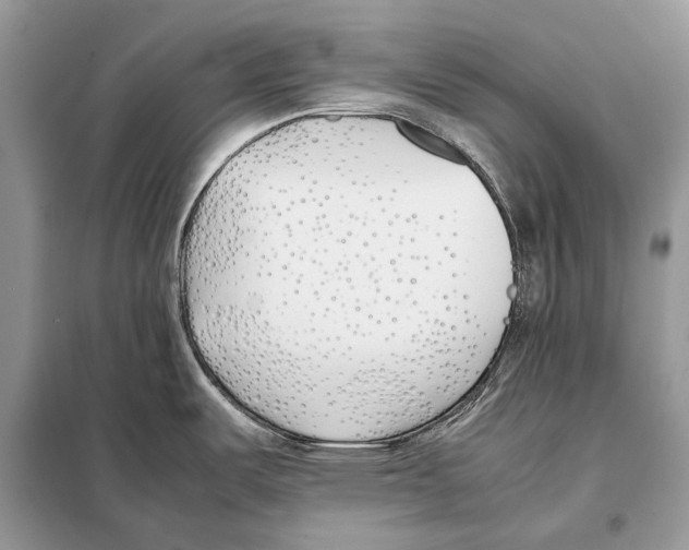 X0000098101487200805021058