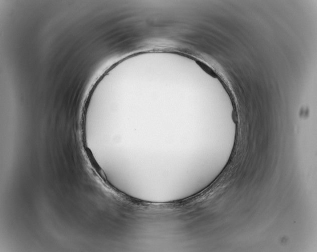 X0000098101488200805021058
