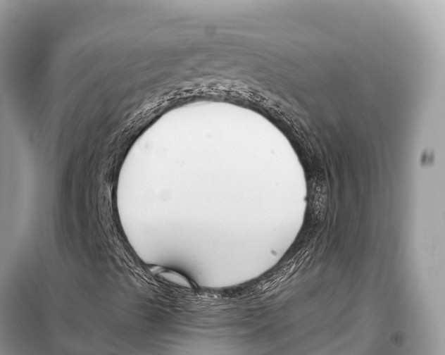 X0000098101489200805021057
