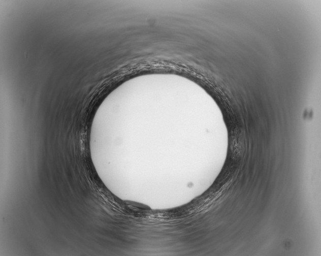 X0000098101490200805021057