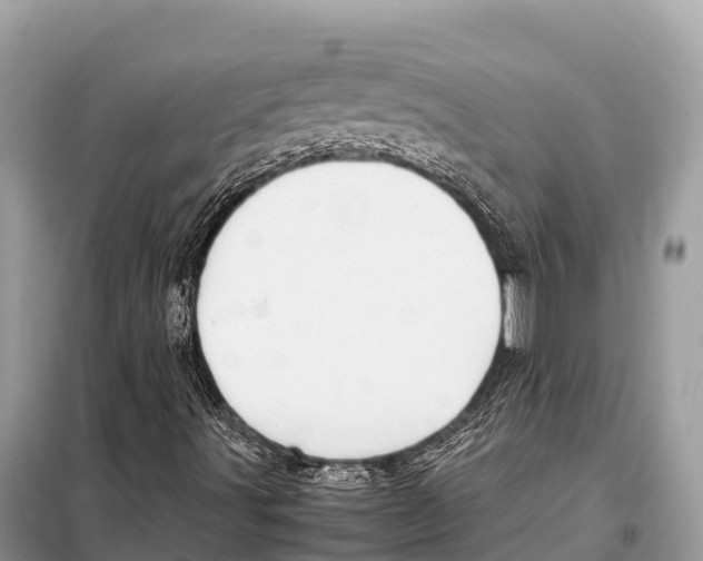 X0000098101491200805021057