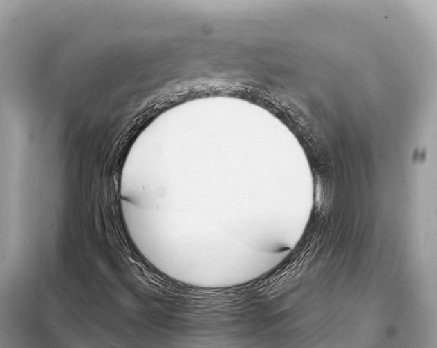 X0000098101492200805021057