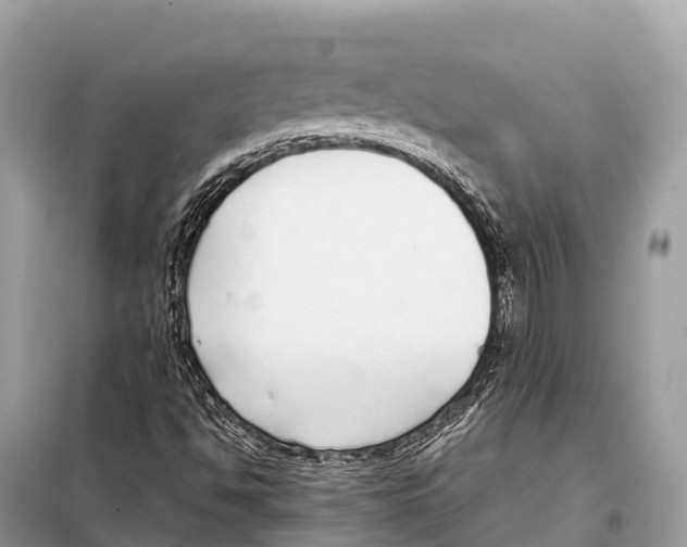 X0000098101494200805021057