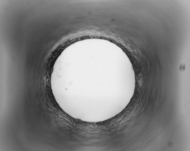 X0000098101495200805021057
