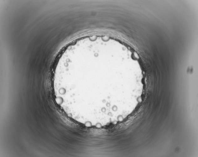 X0000098101498200805021057