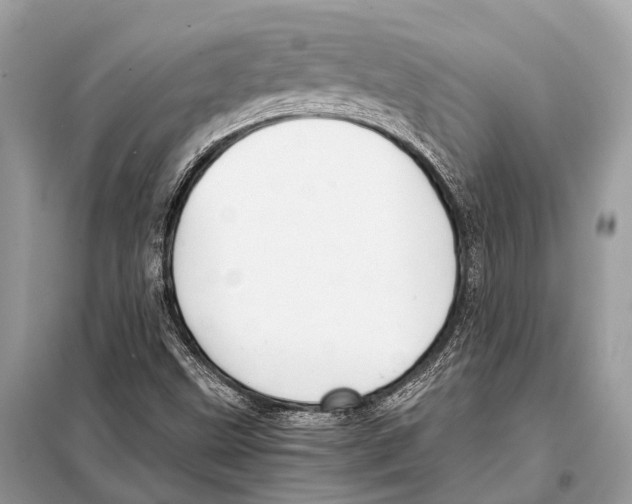 X0000098101499200805021057
