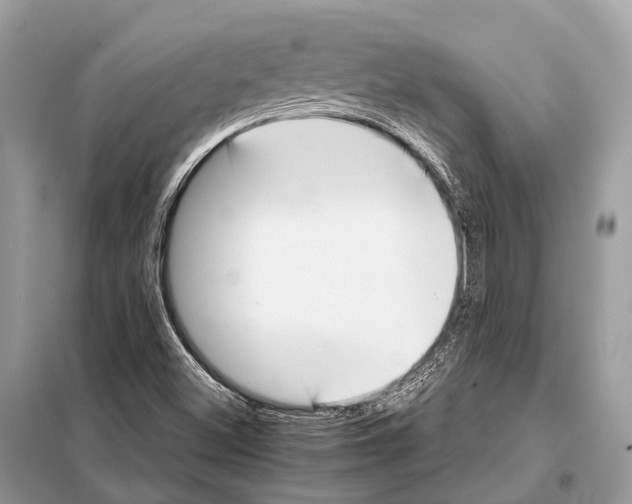X0000098101500200805021057