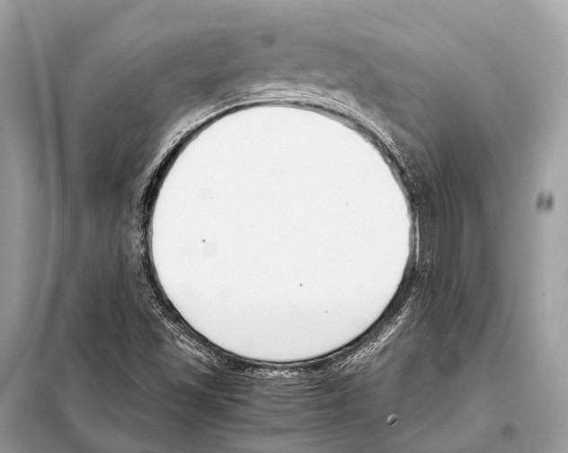 X0000098101501200805021057