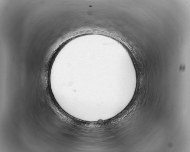 X0000098101503200805021057
