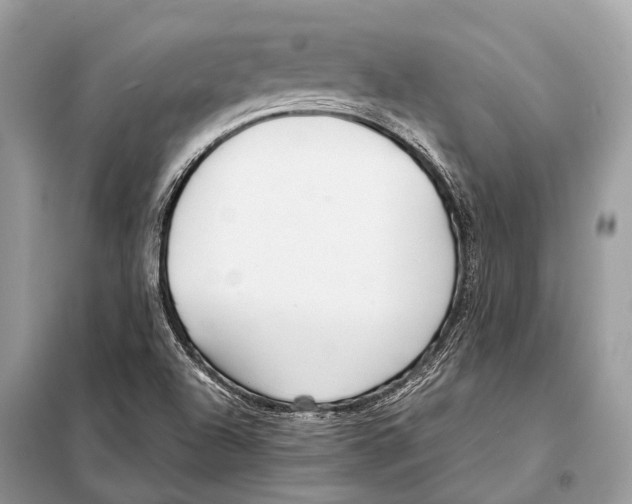 X0000098101504200805021057