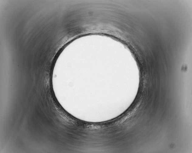 X0000098101505200805021057