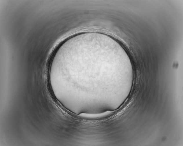 X0000098101506200805021057
